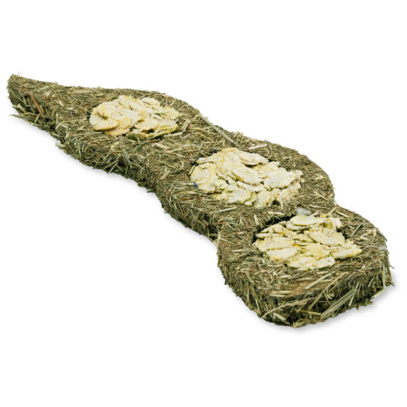 Divertimento XXL per roditori | Pisello e carota gigante con fieno e fiori