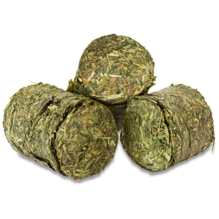 Grainless Health Vital Blocks | Snack senza cereali per una dieta sana di conigli e roditori