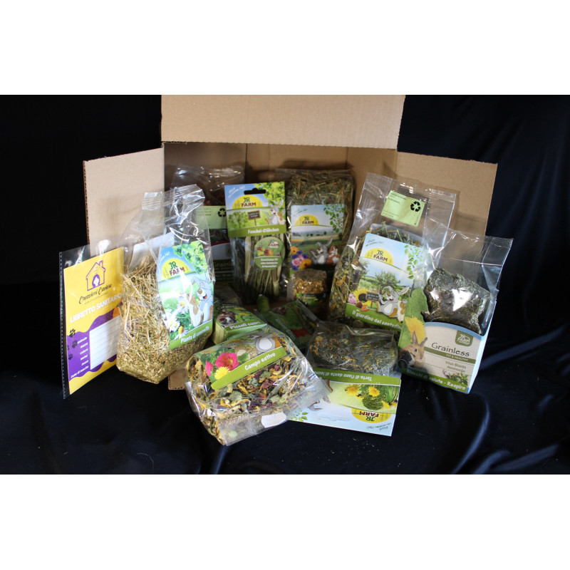 Golosità Caviosa - Box con 13 Snack JR Farm per Cavie