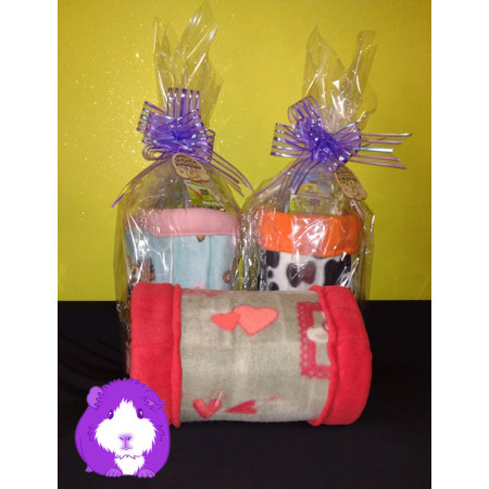 Tunnel in Pile con Snack JR Farm e Sorpresa - Creazioni Caviose