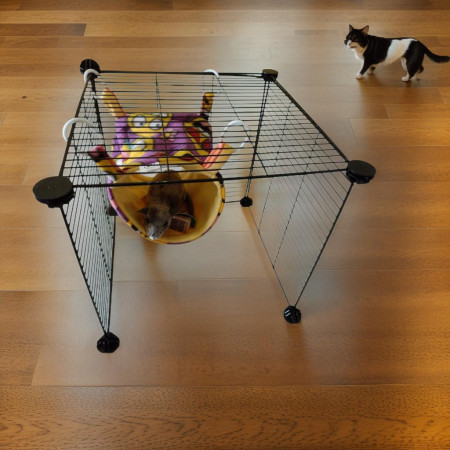 Amacuccia - Amaca e Tunnel per Ratti, Degu, Cavie e Cincillà