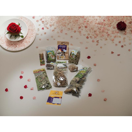 BOX GIRASOLE - Mix Goloso e Snack JR Farm per Criceti e Topolini