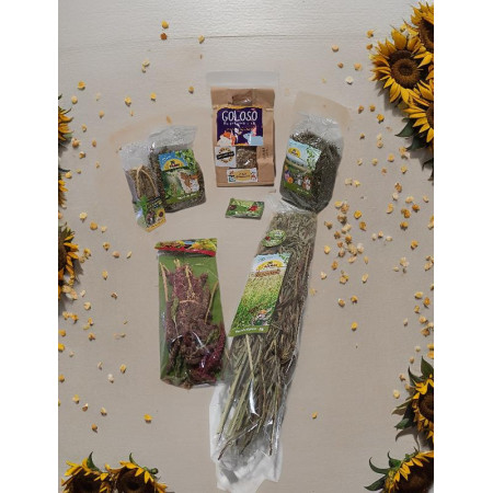 BOX ROSA - Mix Goloso e Snack JR Farm per Criceti e Topolini