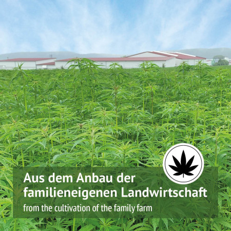 Bastoncini di canapa