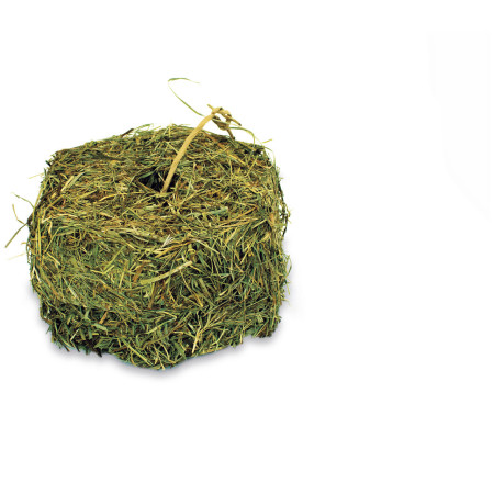 Hay Cube Sospeso per Roditori e Conigli Nani – Fieno di Qualità e Divertimento