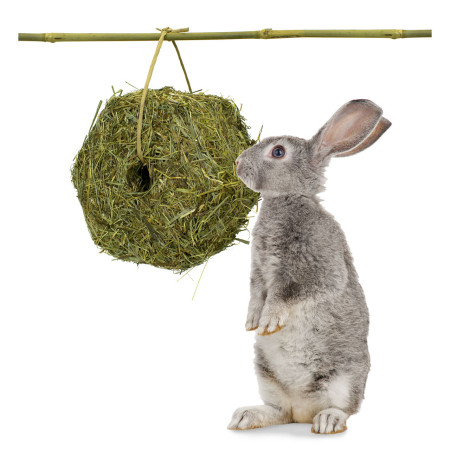 Hay Cube Sospeso per Roditori e Conigli Nani – Fieno di Qualità e Divertimento
