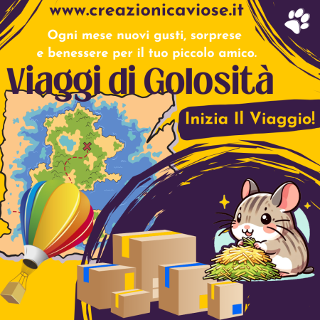 Viaggi di Golosità – Box a sorpresa per roditori