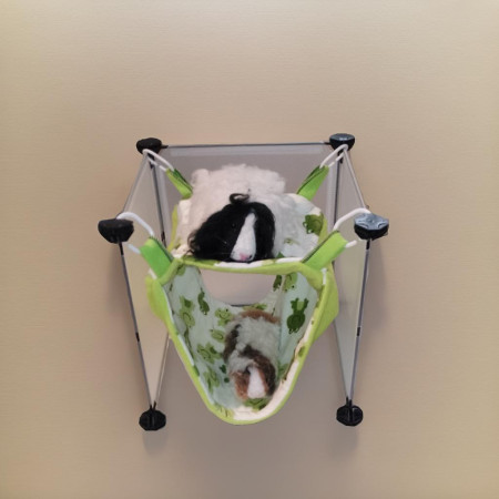 Amacuccia - Amaca e Tunnel per Ratti, Degu, Cavie e Cincillà