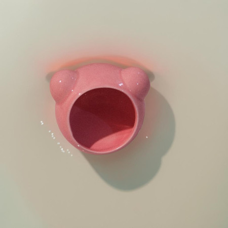 Casetta in Ceramica a Forma di Mela per Criceti e Topi – Rifugio Confortevole