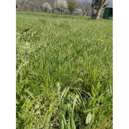 1 kg e 2 kg - Fienoso di Nonno Iam