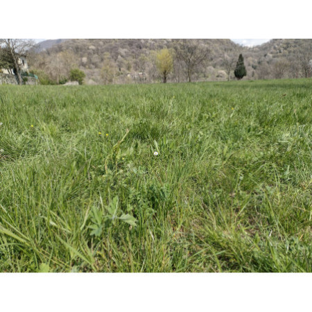 1 kg e 2 kg - Fienoso di Nonno Iam