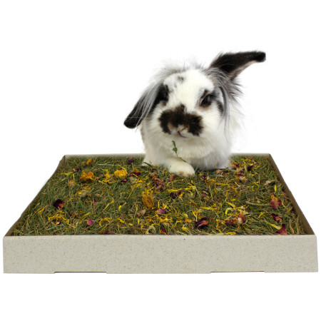 Ciotola Commestibile con Erbe Aromatiche per Roditori e Conigli - 100% Naturale