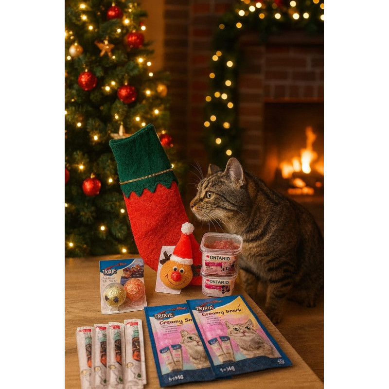 Calza Miciosa Natalizia – Snack e giochi per gatti