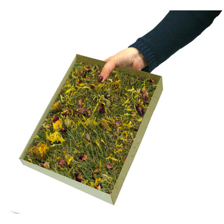 Ciotola Commestibile con Erbe Aromatiche per Roditori e Conigli - 100% Naturale