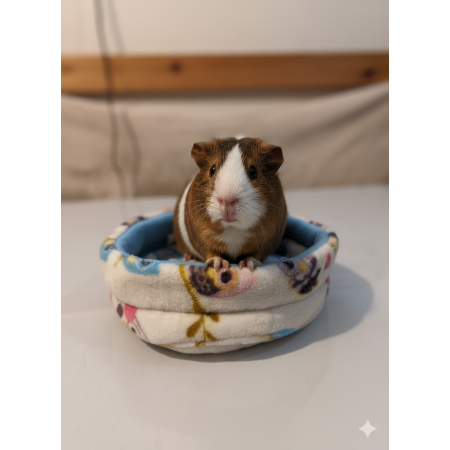 Cuccetta Ciambellino per Cavie con Tappetino Assorbente