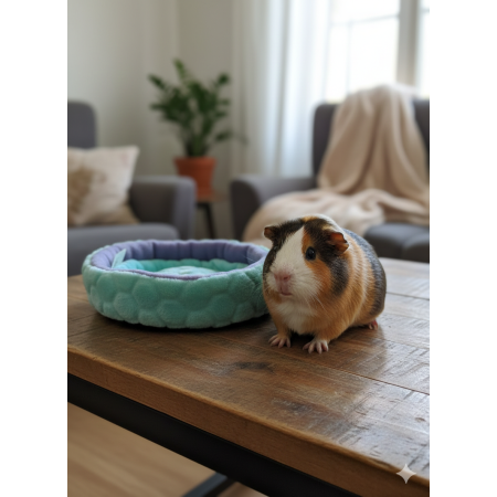 Cuccetta Ciambellino per Cavie con Tappetino Assorbente