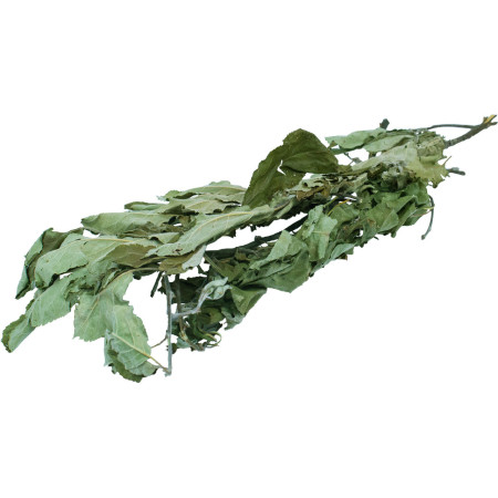 Rami di Melo Naturali per Roditori - Piacere e Benessere Autentico