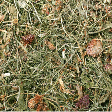 Fieno Aromatico con Trifoglio Rosso - Ricco di Vitamine e Minerali per Roditori