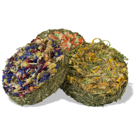 Torta di Fieno Senza Cereali per Roditori e Conigli Nani – Delizia Naturale