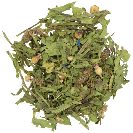 Foraggio Sano con Piantaggine per Conigli Nani e Roditori - Benefici per le Vie Respiratorie