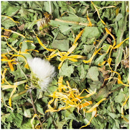 Pianta di Tarassaco Essiccata per Conigli e Roditori - Foraggio Sano