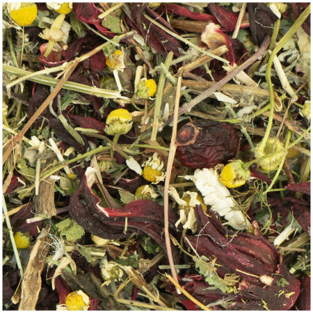 Spuntino Ricco di Fibre per Cincillà - Fiori, Cardo Mariano e Cinorrodi