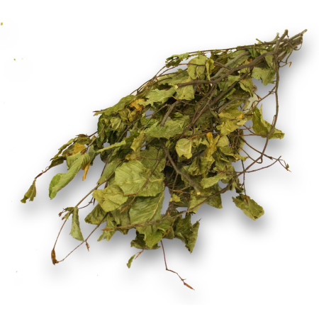 Rami di Nocciolo per Roditori - Snack Naturale e Salutare