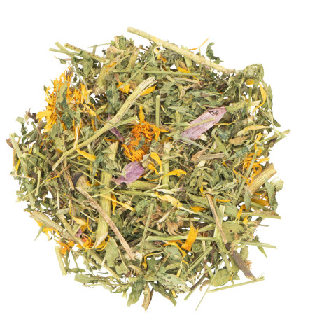 Foraggio Sano per Roditori - Echinacea ed Erba Medica per Difese Immunitarie