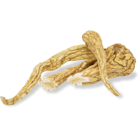 Radici di Pastinaca Naturali per Conigli Nani e Roditori - Snack Sano