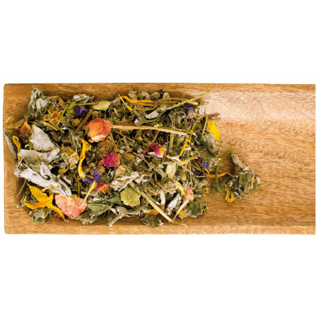 Snack Naturali con Erbe Profumate, Fiori Colorati e Fragole per Roditori