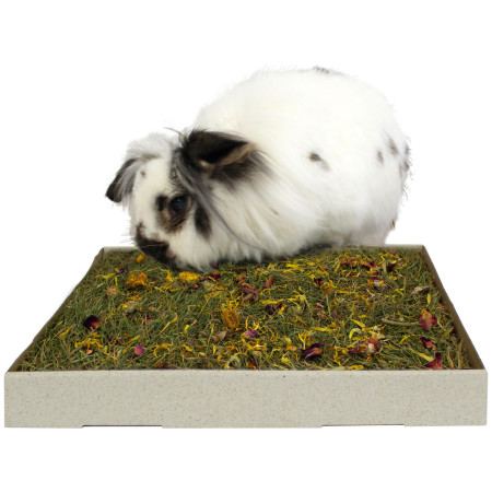 copy of Un pezzo di natura Prato di erbe aromatiche con fiori