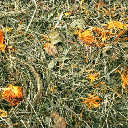 Fieno Aromatico con Tarassaco - Stimola il Metabolismo nei Roditori