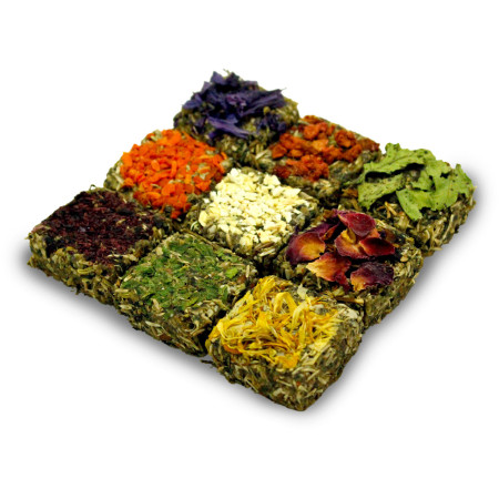 JR Grainless Rodent Pralines: Snack Speciale per Animali Senza Cereali