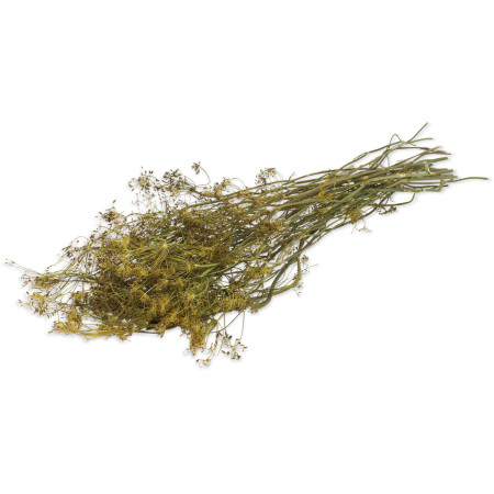 Aneto Naturale per Roditori | Snack Aromatico e Salutare