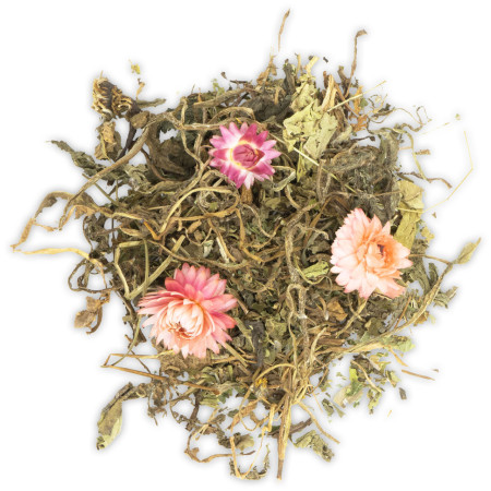 Tarassaco e Salvia Essiccati per Roditori e Conigli | Supporto Naturale Digerente