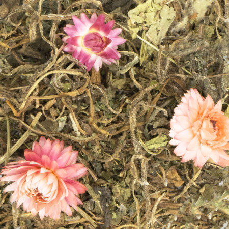 Tarassaco e Salvia Essiccati per Roditori e Conigli | Supporto Naturale Digerente