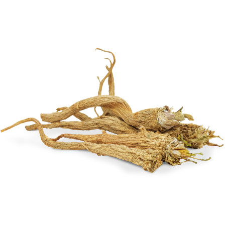 Radici di prezzemolo