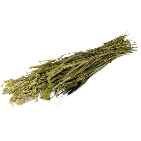 Erbe Sane per Roditori - Avena Aromatica, Erba Mazzolina e Miglio Ornamentale