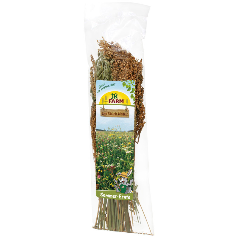 Raccolta d'estate "Un pezzo di natura"