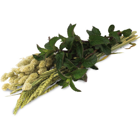 Raccolta di erbe aromatiche "Un pezzo di natura"