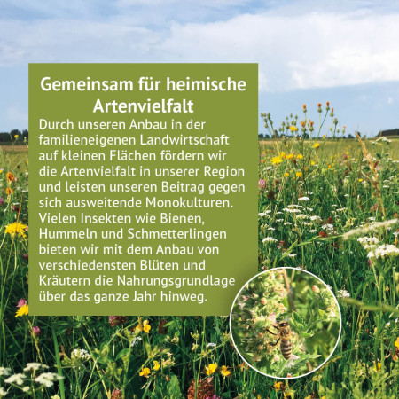 Raccolta di erbe aromatiche "Un pezzo di natura"