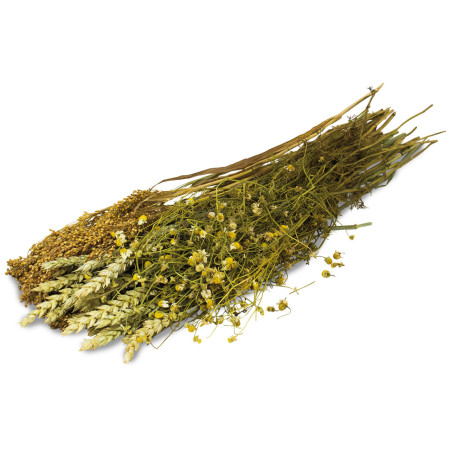 Erbe e Graminacee per Roditori - Grano, Miglio e Camomilla