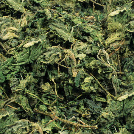 Foraggio Naturale di Ortica per Roditori e Conigli - Ricco di Minerali