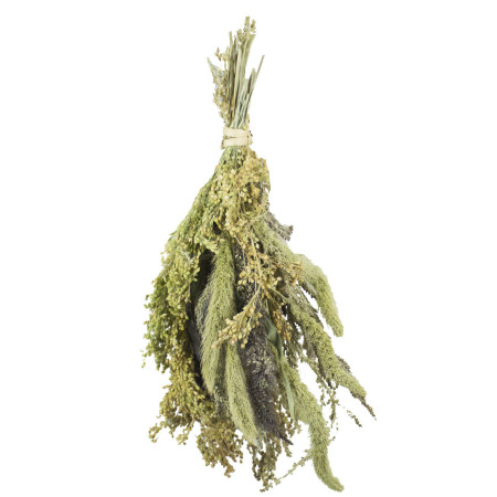 Pot-Pourri di Miglio per Uccelli e Roditori - Snack Naturale