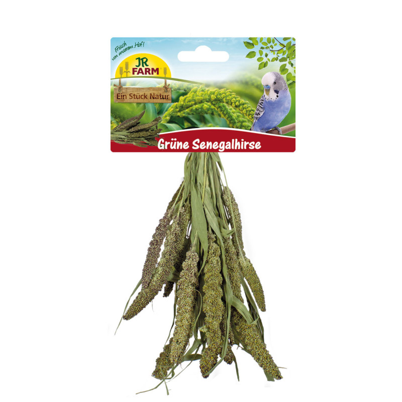 Miglio Verde del Senegal per Uccelli e Roditori