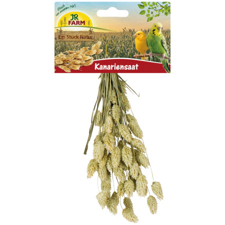 Semi di Scagliola Maturati al Sole - Attività Naturale per Animali