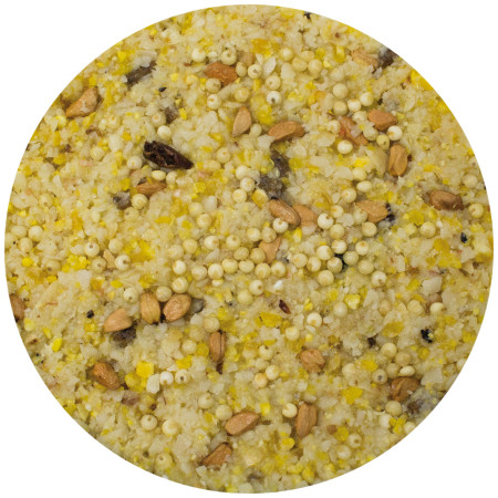 Snack Energetico per Uccelli Selvatici - Arachidi e Semi Selezionati