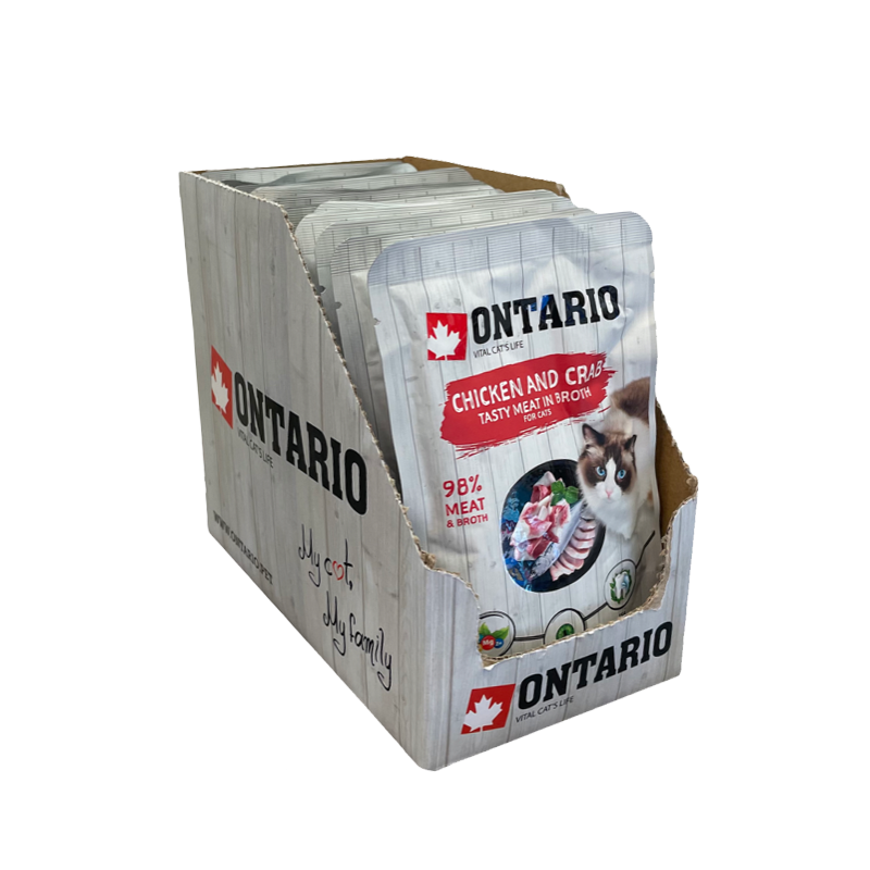 Ontario Cat umido in brodo