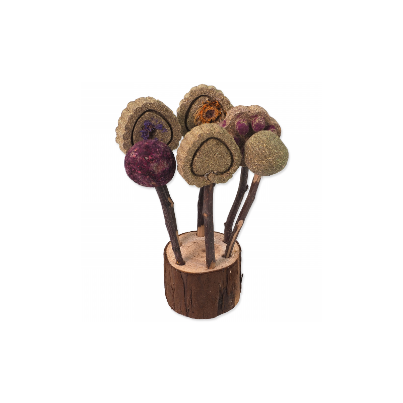 Lecca lecca giocattolo Piccoli Animali