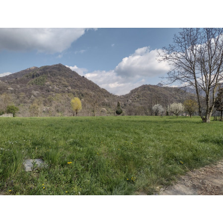 Fieno Biologico 100% Naturale per Roditori e Conigli - FienoSo da 12 kg